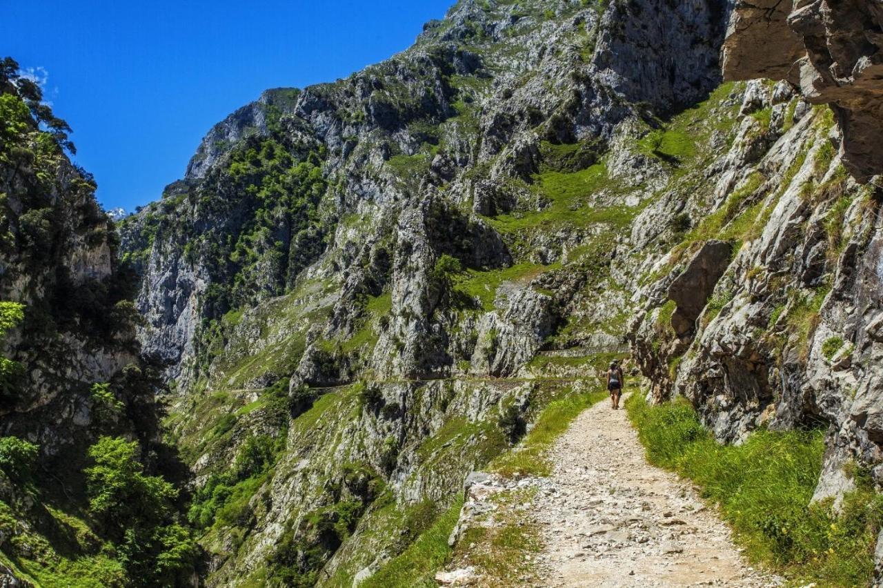 El Mirador De Meron San Vicente De La Barquera Kültér fotó